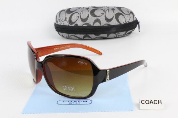 C0ACH Boutique Sunglasses 028